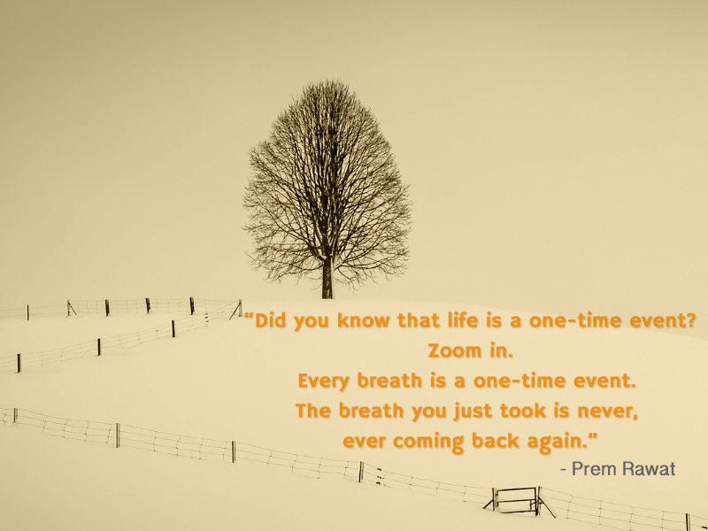 tree,Prem Rawat,quote