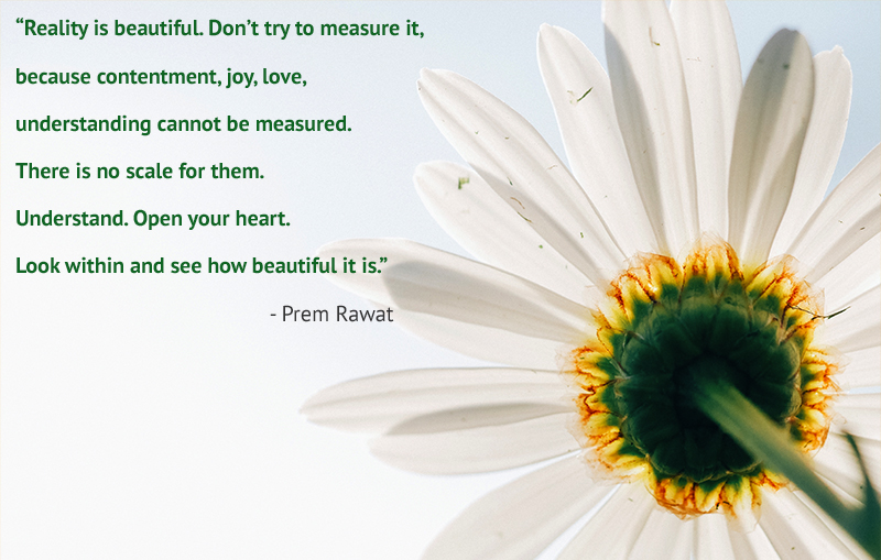 flower,Prem Rawat,quote
