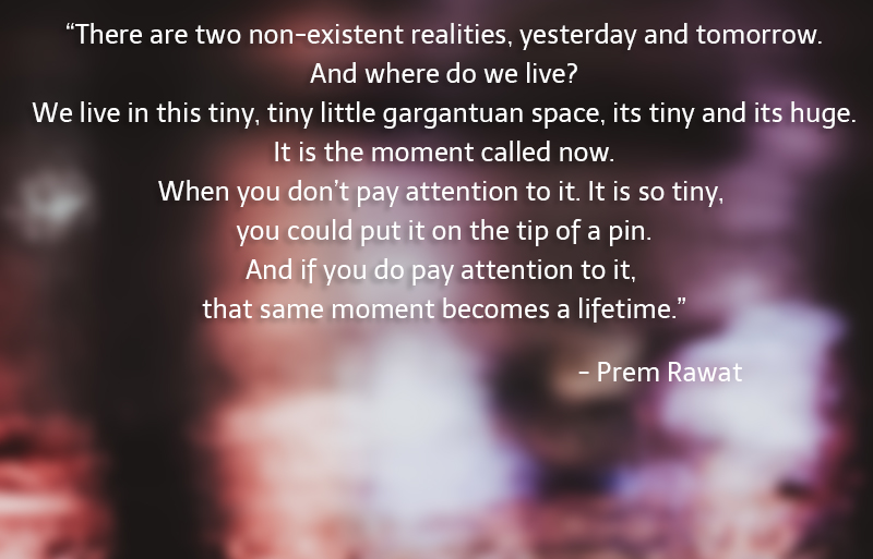 bokeh, plants,Prem Rawat,quote