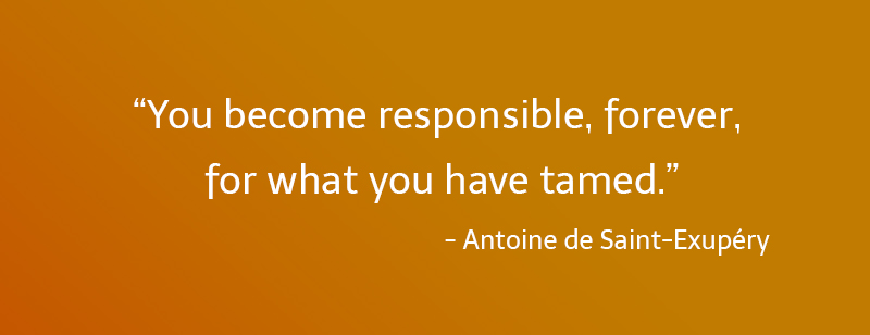 ,Antoine de Saint-Exupéry,quote
