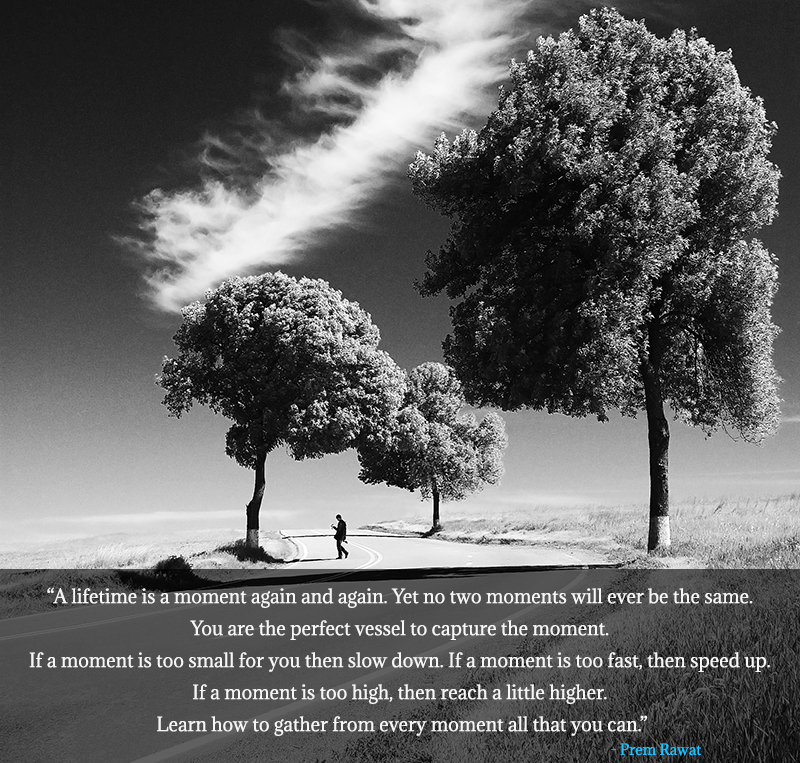 trees,Prem Rawat,quote