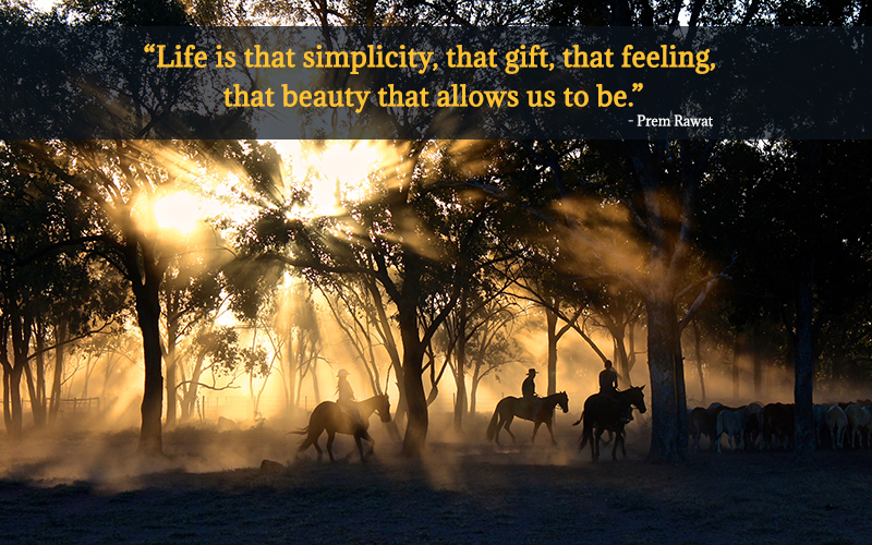 horses,morning,Prem Rawat,quote