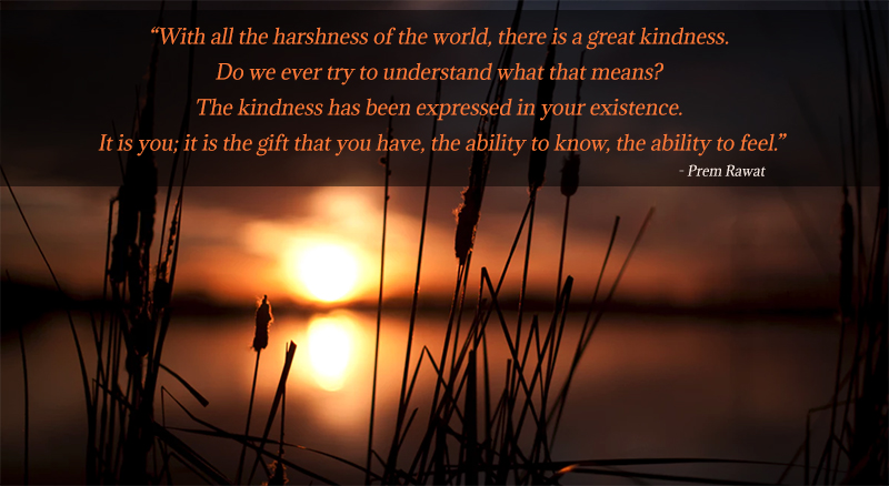 crop,wheat,Prem Rawat,quote