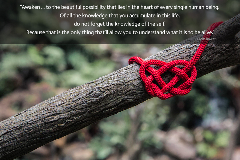 Love, Heart,Prem Rawat,quote