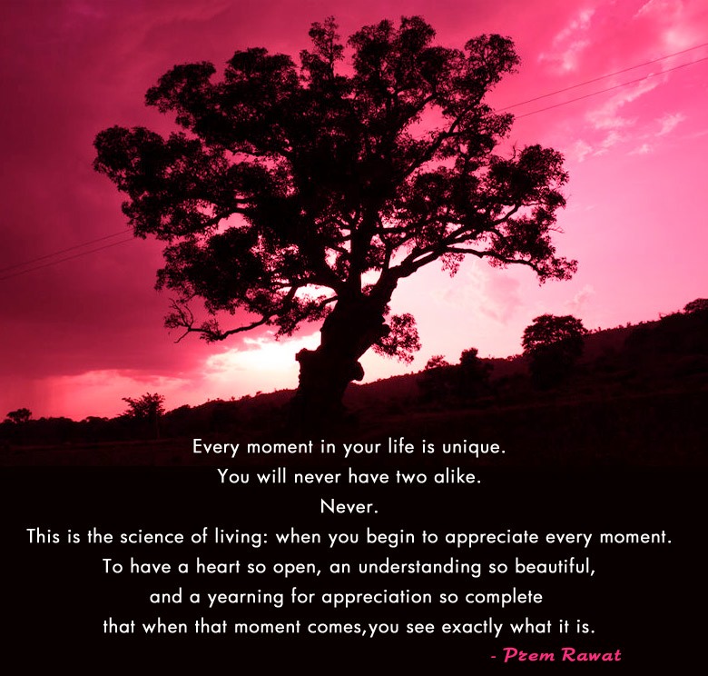 tree,evening,sunset,Prem Rawat,quote