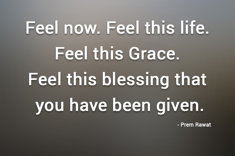 ,Prem Rawat,quote