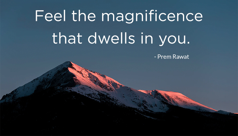 ,Prem Rawat,quote