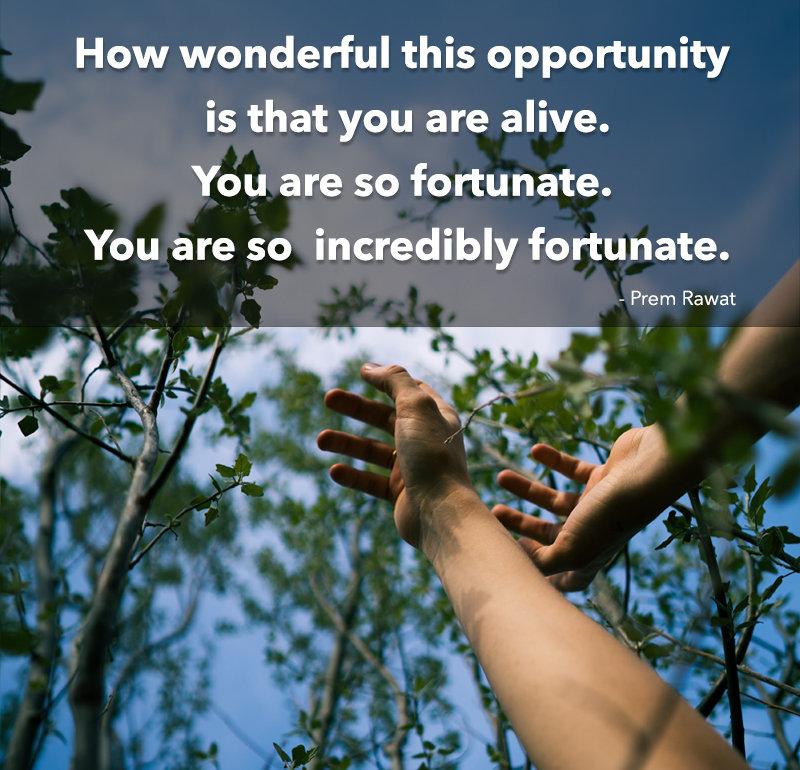 ,Prem Rawat,quote