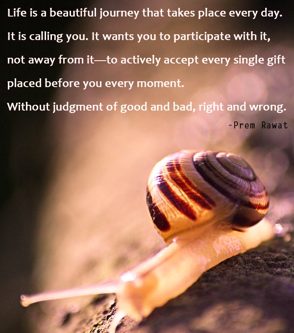 snail,Prem Rawat,quote