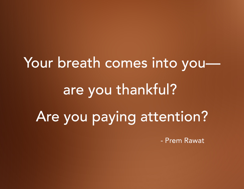,Prem Rawat,quote