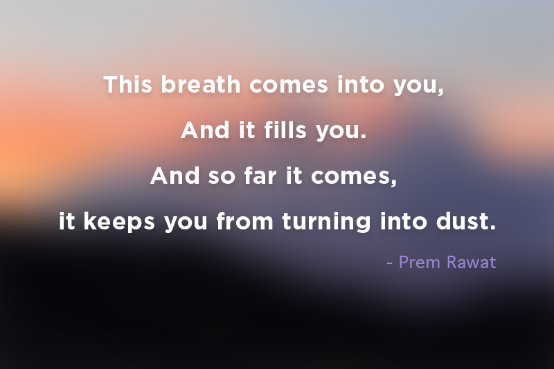 ,Prem Rawat,quote