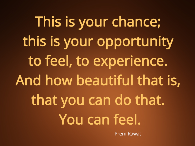 ,Prem Rawat,quote