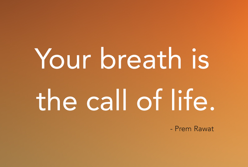 ,Prem Rawat,quote