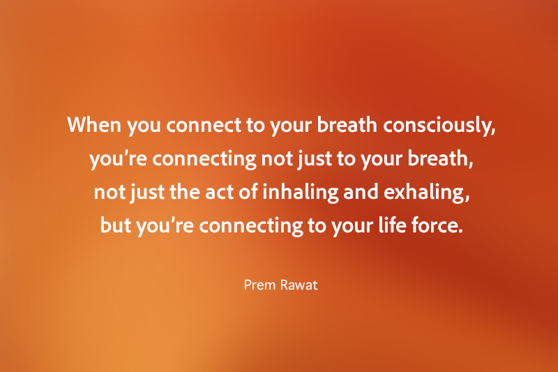 ,Prem Rawat,quote