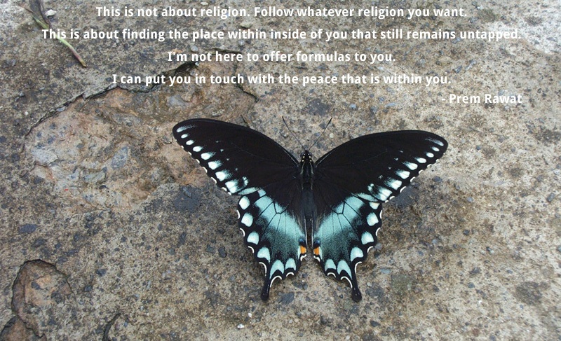 butterfly,Prem Rawat,quote