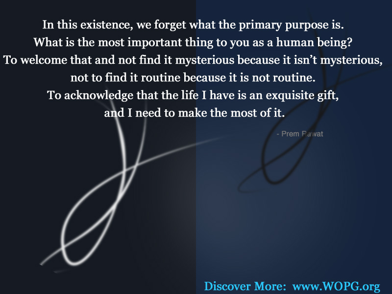 twisted lines,abstract,Prem Rawat,quote