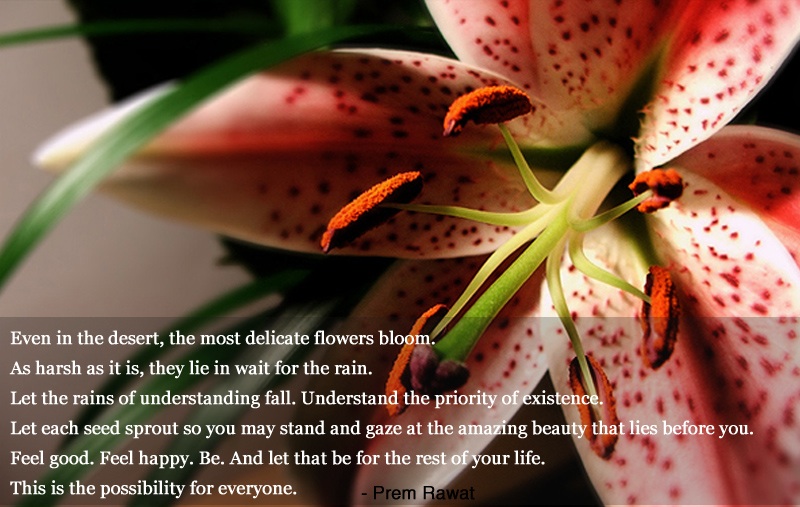 flower,Prem Rawat,quote