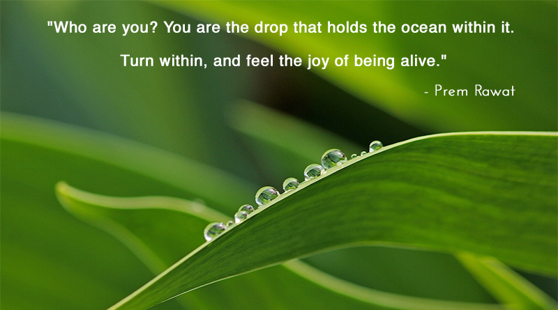 dew drop,leaf,Prem Rawat,quote