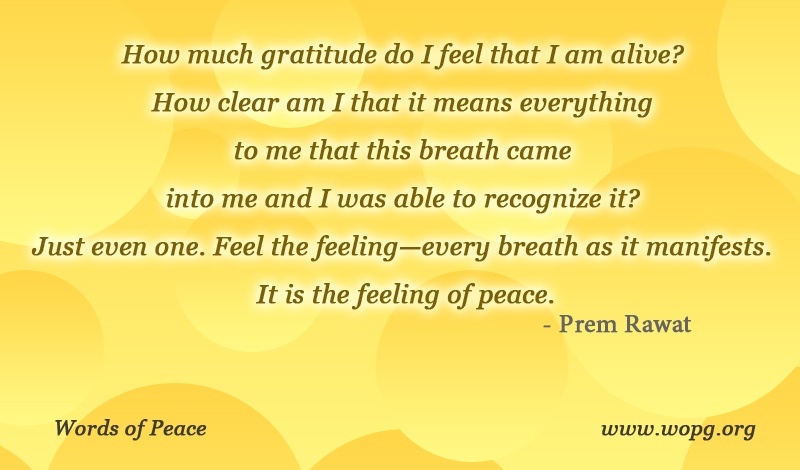 yellow abstract,Prem Rawat,quote