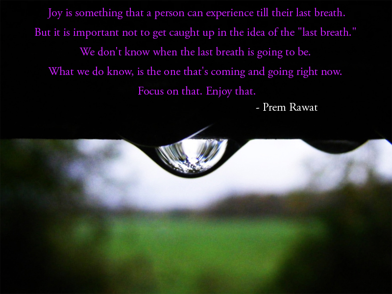 drop,dripping,Prem Rawat,quote