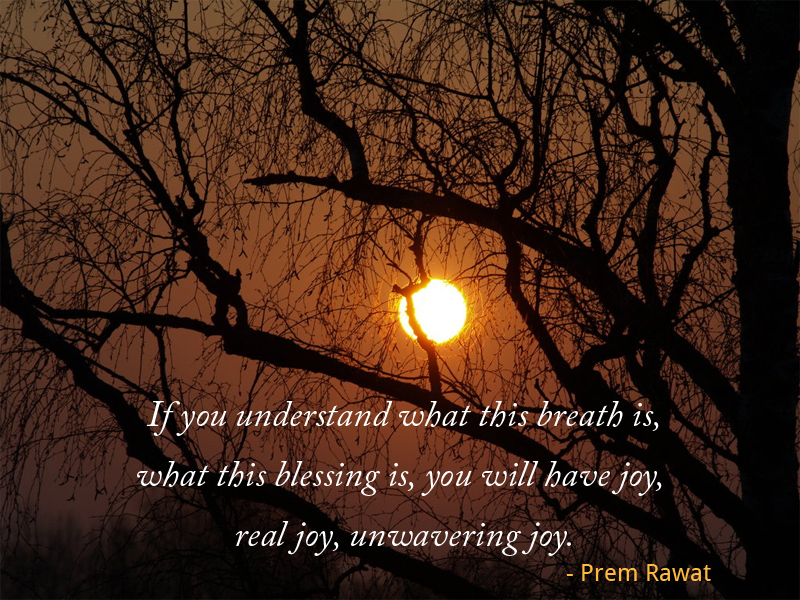 sunset forest,Prem Rawat,quote