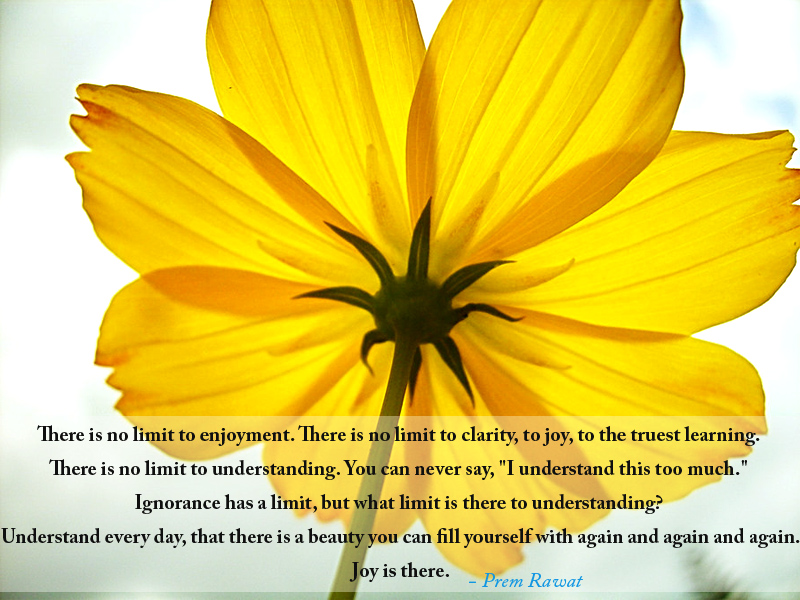 yellow flower,Prem Rawat,quote