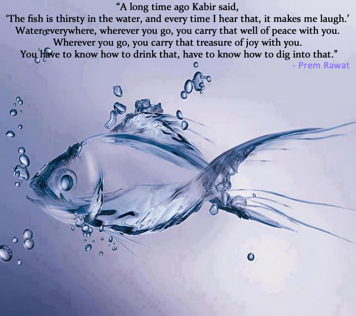fish,water,Prem Rawat at Nova Southeastern University,quote
