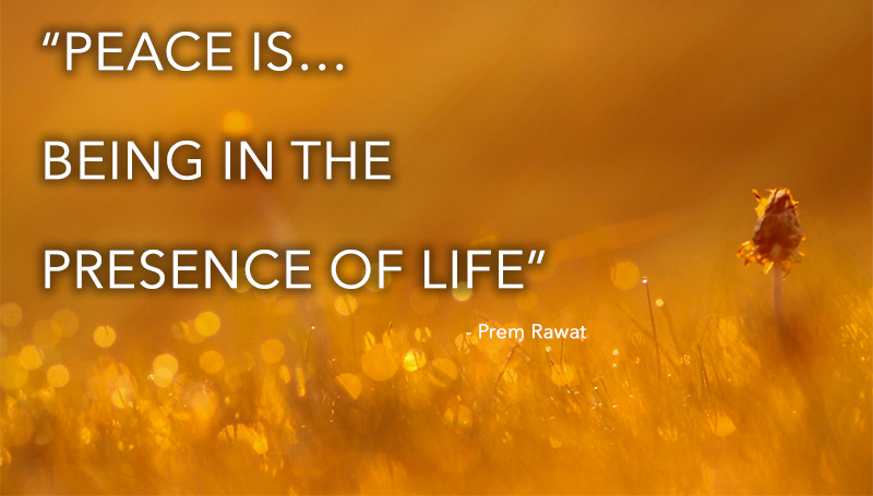 morning sun,Prem Rawat,quote