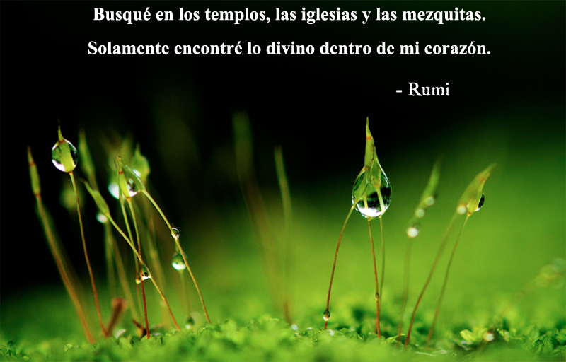 Rumi,quote