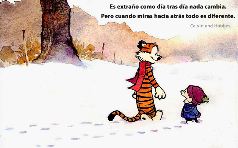 Calvin and Hobbes,quote