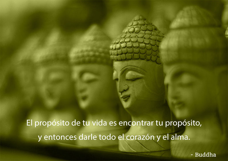 Buddha,quote