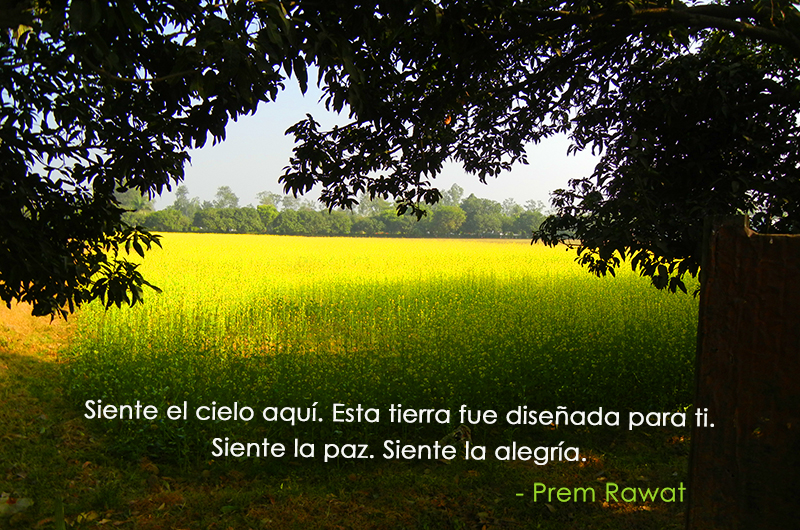 Prem Rawat,quote