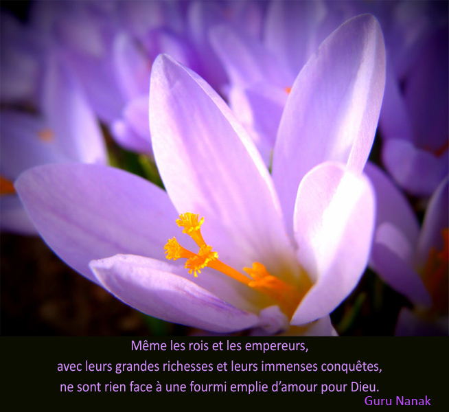 ,Guru Nanak,quote