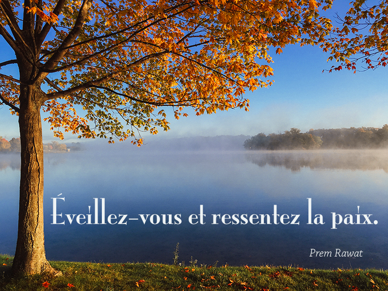 tree, lake,Prem Rawat,quote