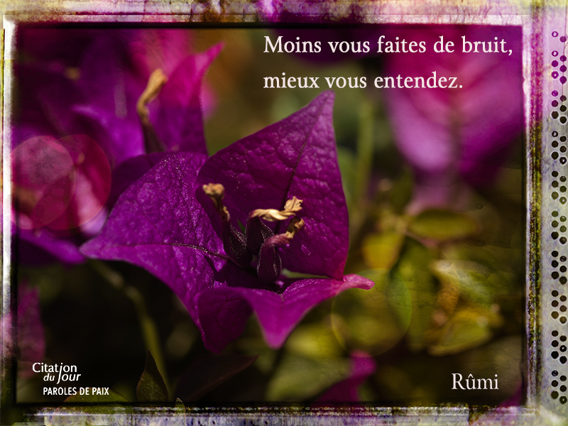 flower,Rumi,quote