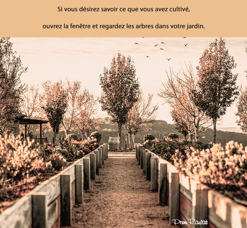 garden,Prem Rawat,quote