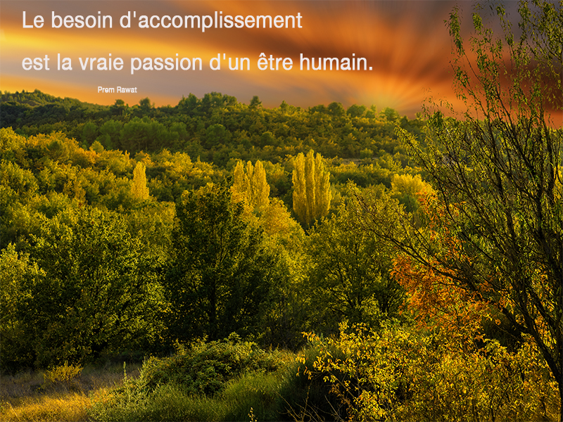 forest,Prem Rawat,quote