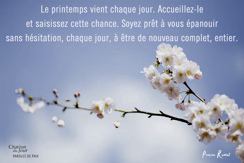 spring, flowers,Prem Rawat,quote