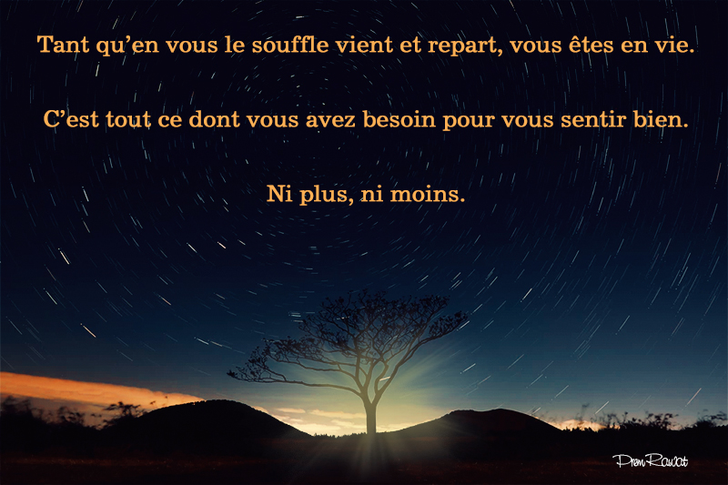 sunset, tree,Prem Rawat,quote