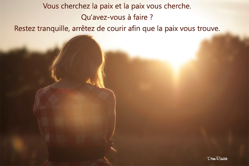 ,Prem Rawat,quote
