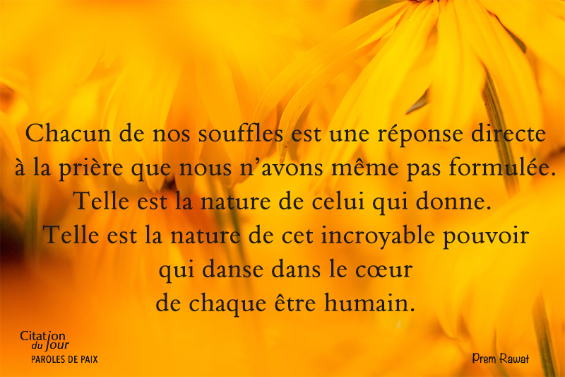 flowers,Prem Rawat,quote