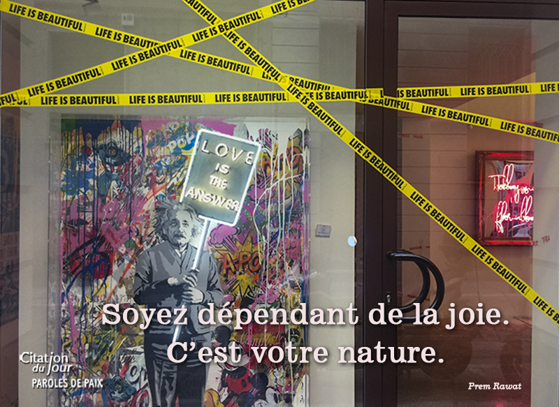 painting,Prem Rawat,quote