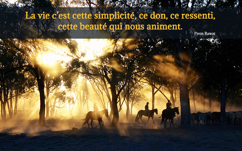 sunset, forest,Prem Rawat,quote