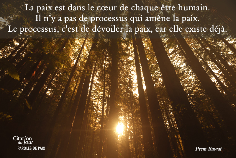forest,Prem Rawat,quote