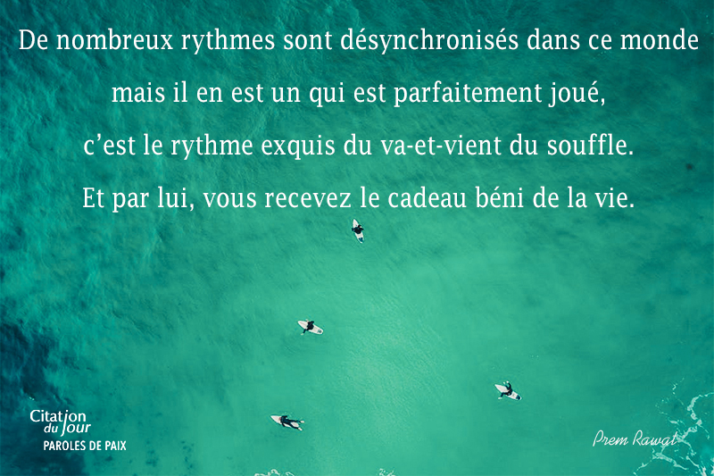 see,Prem Rawat,quote