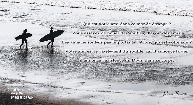 see,Prem Rawat,quote