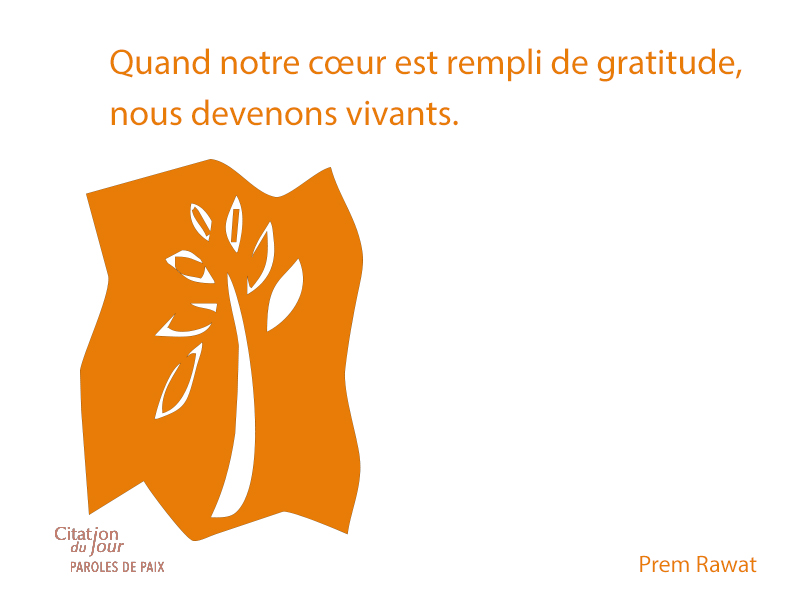 ,Prem Rawat,quote