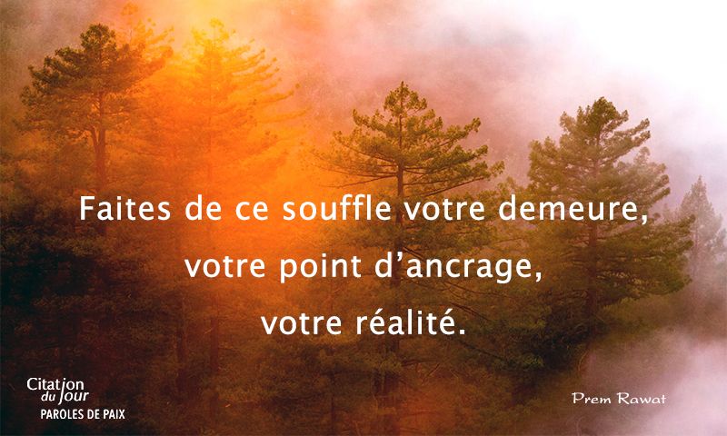 forest,Prem Rawat,quote