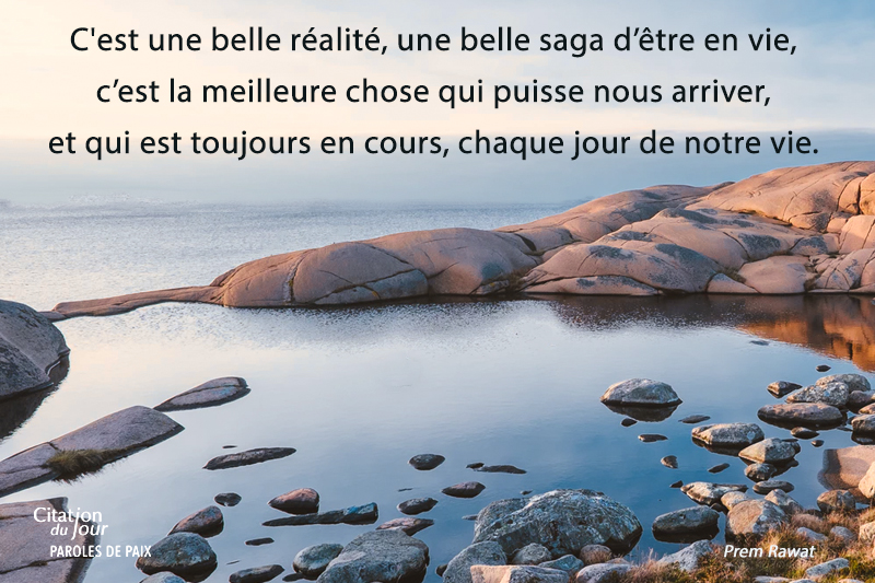 see,Prem Rawat,quote