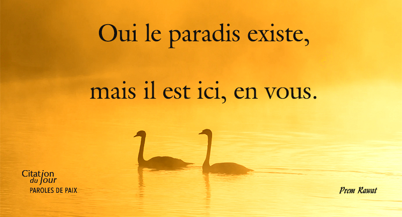 swans,Prem Rawat,quote
